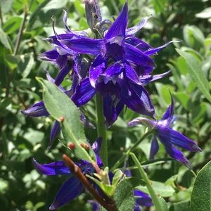 Meet your Posher, Jen